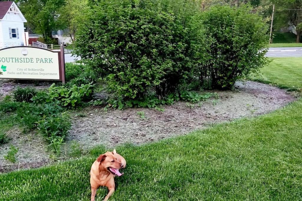 Wolf'S Cabin-Walk To Downtown Noblesville Εξωτερικό φωτογραφία